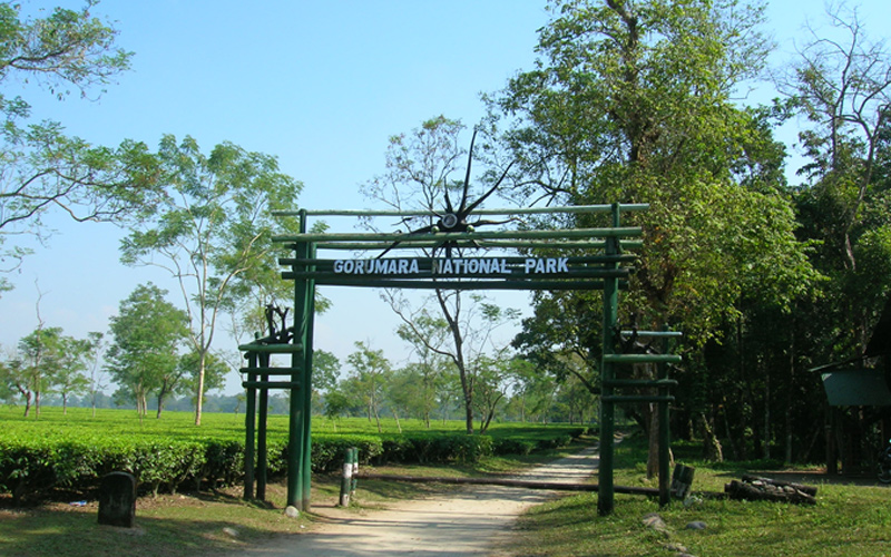 Gorumara National Park