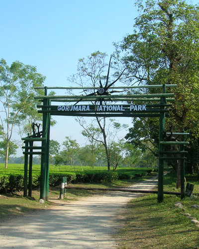 Gorumara National Park